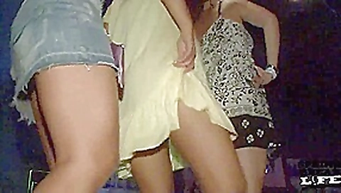 Girls Dancing and Flashing on the Bar in Spring Break Club South Padre - SpringbreakLife