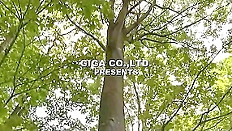 Outdoor Group Sex With Russian teen 18+