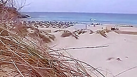 Sex on the beach