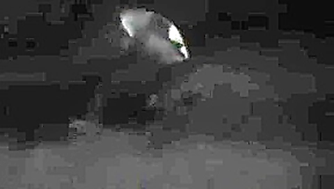 CLIP #205 _ Voyeurismo Public Sex_2