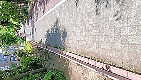 Shione Cooper Porn Videos