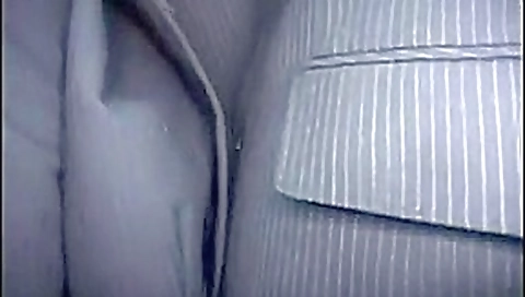 Japanese bus sex 3