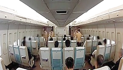 Normal service of the airline( 2)