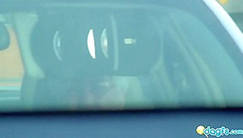 Sexy Black gf Rane driver seat blowjob